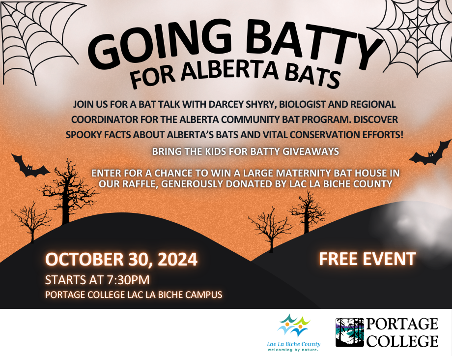 Bat Presentation Poster