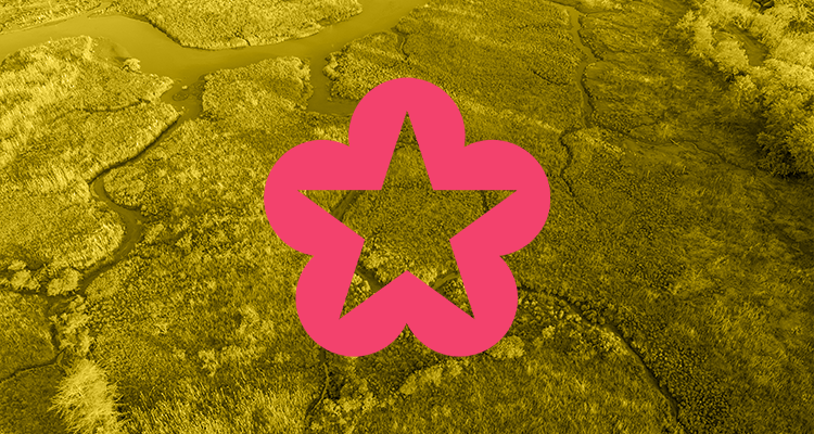 Pink star graphic over landscape