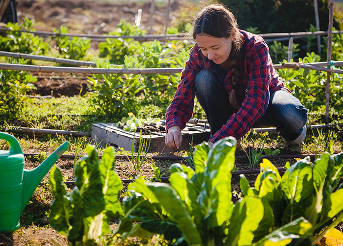 Permaculture