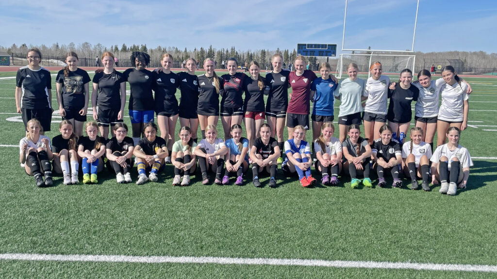 Group of girls in soccer kits posing for a team photo on a sunny artificial turf field with a goal behind them in the distance.