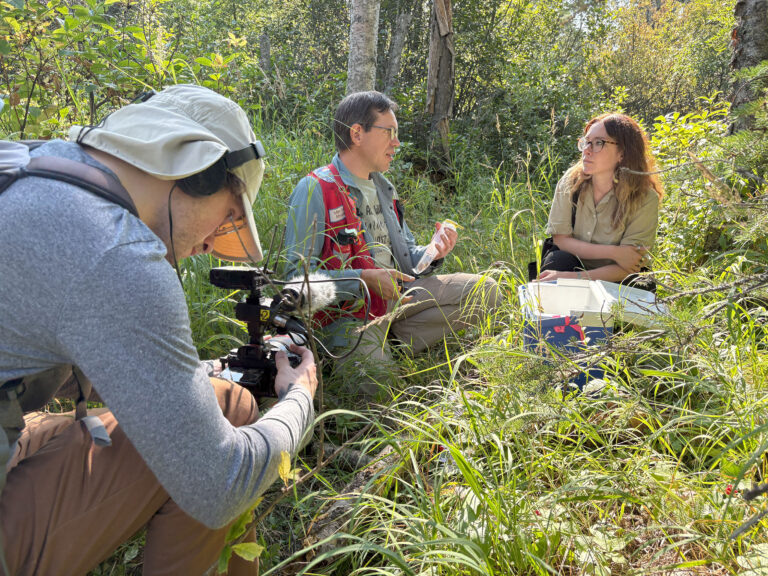 Three people sit among tall grasses in a forest; one person films while two others converse.